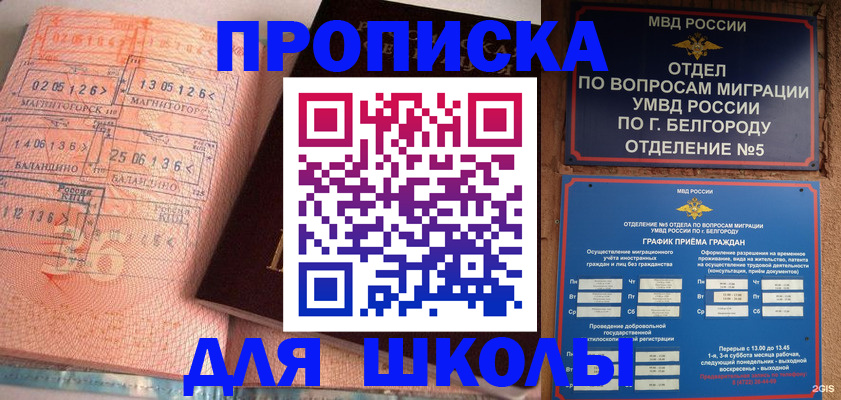 прописка иностранных граждан в Мурманске